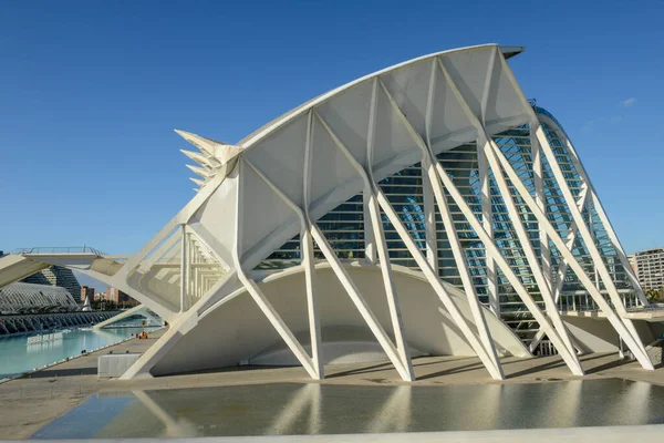 Città Delle Arti Delle Scienze Dell Architetto Santiago Calatrava Valencia — Foto Stock