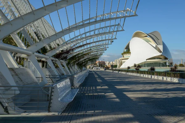 Ciudad Las Artes Las Ciencias Del Arquitecto Santiago Calatrava Valencia — Foto de Stock