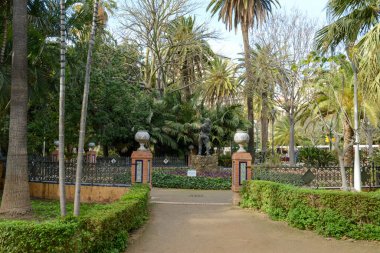 İspanya 'daki Malaga' da Paseo de Espana Bahçeleri