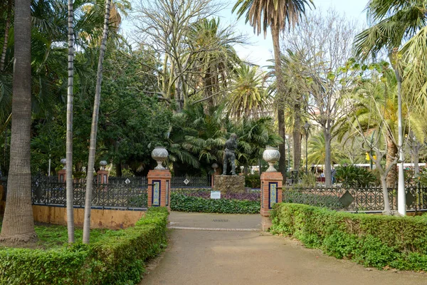 İspanya 'daki Malaga' da Paseo de Espana Bahçeleri