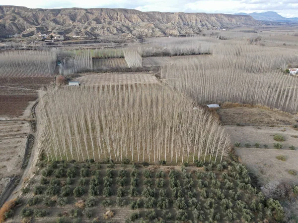 Vue Sur Drone Dans Les Bois Les Collines Près Guadix — Photo