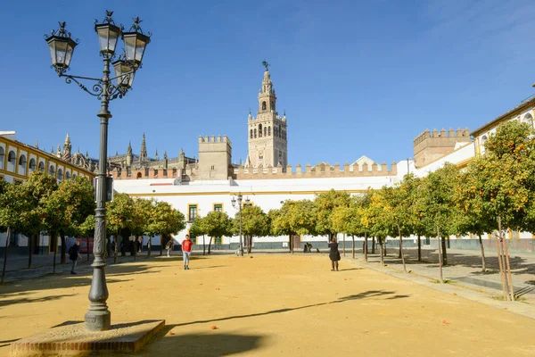 Sevilla Spanyolország 2021 Január Sevilla Katedrálisa Andalúziában Spanyolországban — Stock Fotó