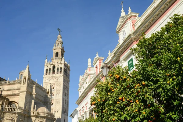 Seville Spanya Ocak 2021 Endülüs Teki Sevilla Katedrali — Stok fotoğraf
