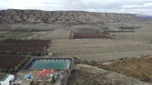 Drone Vista Boschi Colline Vicino Guadix Spagna — Video Stock