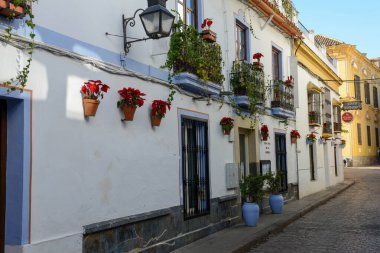 Cordova, İspanya - 10 Ocak 2022: Endülüs 'ün eski merkezi