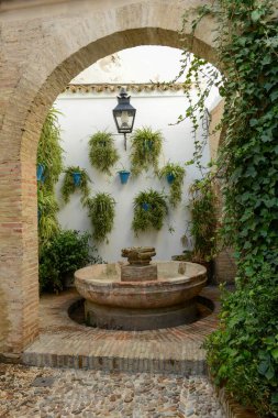 İspanya 'da Endülüs' te Cordova 'da bir evin avlusu.