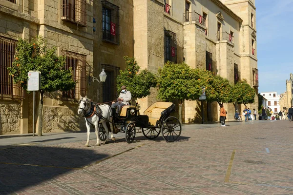 Cordova Espanha Janeiro 2022 Antigo Centro Cordova Andaluzia Espanha — Fotografia de Stock