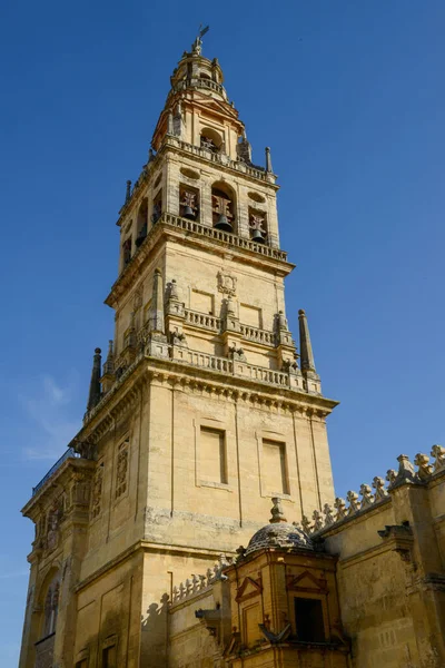 Колокольня Собора Кордове Андалусии Испании — стоковое фото