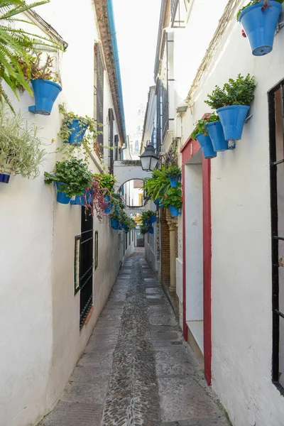 Callejón Las Flores Córdoba Andalucía España — Foto de Stock