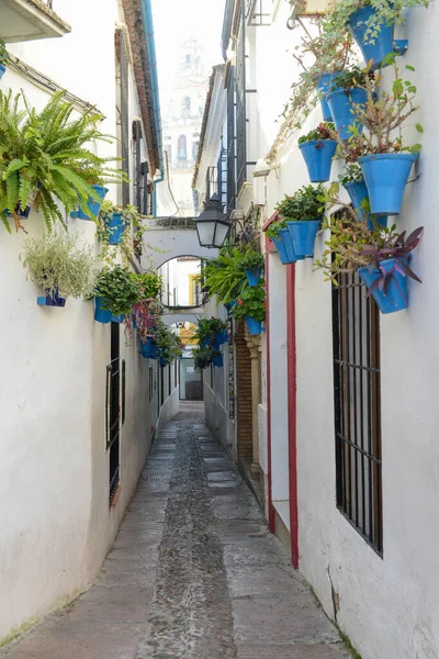 Die Blumenallee Von Cordoba Andalusien Spanien — Stockfoto