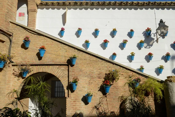 Pátio Uma Casa Córdova Andaluzia Espanha — Fotografia de Stock