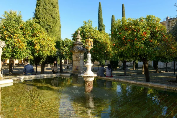 Cordova Spain January 2022 Courtyard Cathedral Cordova Andalusia Spain — Stock Photo, Image