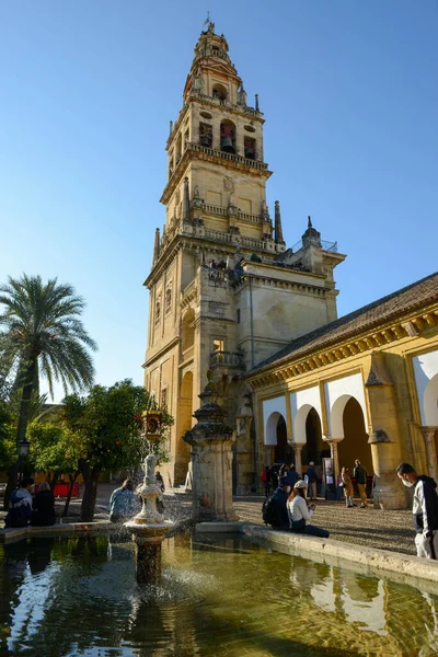 Cordova Spain January 2022 Courtyard Cathedral Cordova Andalusia Spain — 图库照片