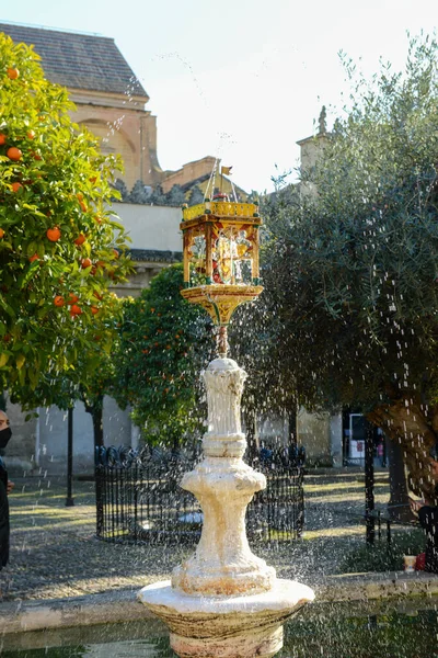 Fontána Nádvoří Katedrály Cordově Španělsku — Stock fotografie