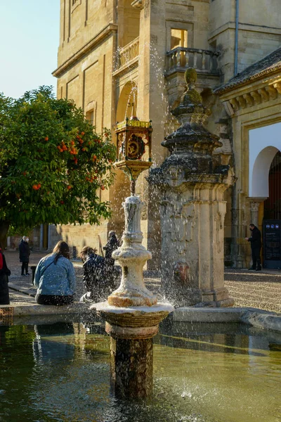 Cordova Spanje Januari 2022 Binnenplaats Van Kathedraal Van Cordova Andalusië — Stockfoto