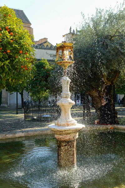 Fontaine Sur Cour Cathédrale Cordoue Espagne — Photo