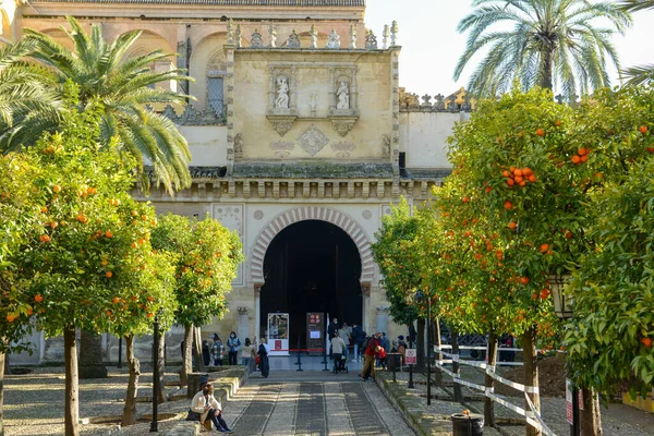 スペインのコルドバ 1月2022 スペインのアンダルシアのコルドバ大聖堂の中庭 — ストック写真