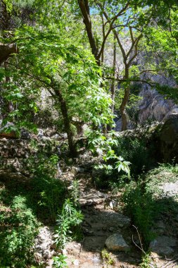 Yunanistan 'daki Delfi arkeoloji sahasına bak