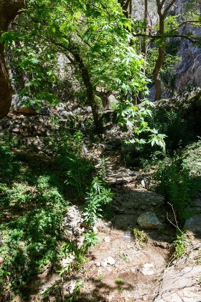 Bekijk Bron Castalia Van Delfi Griekenland — Stockfoto