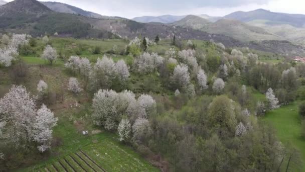 Vista Del Dron Las Montañas Cerca Brezovice Kosovo — Vídeos de Stock