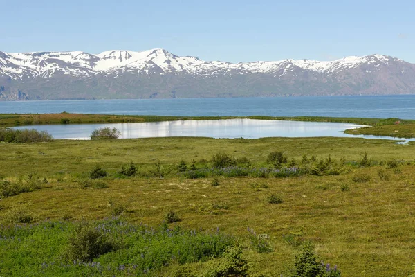 Landscape Sea Husavik Iceland — Stockfoto