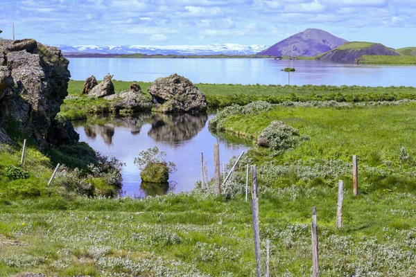 Krajobraz Wiejski Jeziora Myvatn Islandii — Zdjęcie stockowe