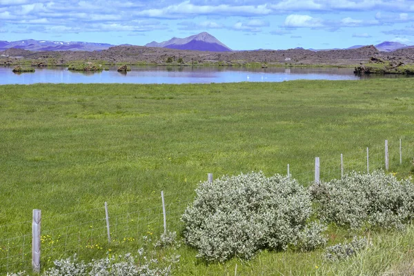 Rural Landscape Lake Myvatn Iceland — Stock fotografie