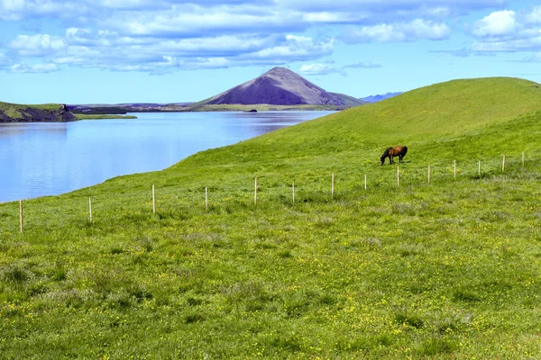 Rural Landscape Lake Myvatn Iceland — Fotografia de Stock