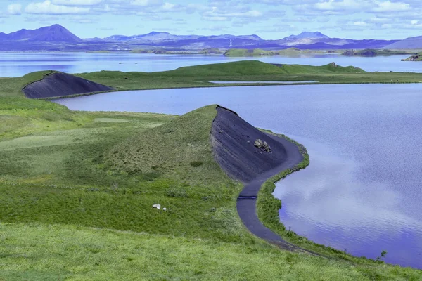 Rural Landscape Lake Myvatn Iceland — Stockfoto