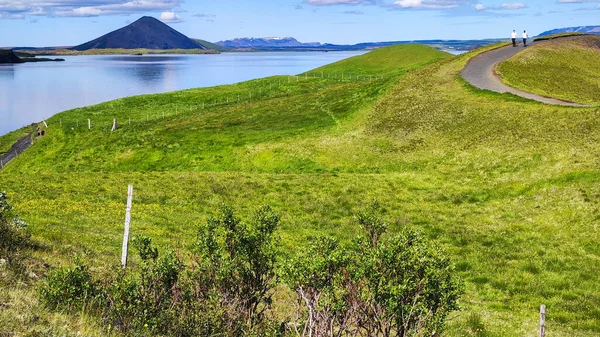 Сільський Краєвид Озера Міватн Ісландії — стокове фото
