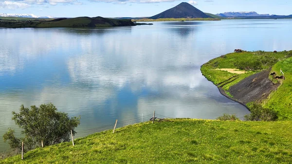 Rural Landscape Lake Myvatn Iceland — стокове фото