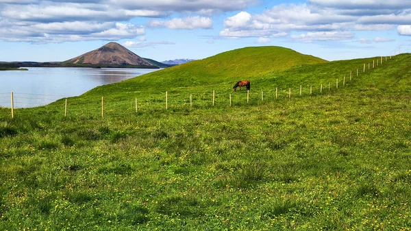 Rural Landscape Lake Myvatn Iceland — Fotografia de Stock