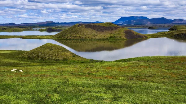 Rural Landscape Lake Myvatn Iceland — Fotografia de Stock