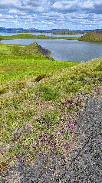 Venkovská Krajina Jezera Myvatn Islandu — Stock fotografie