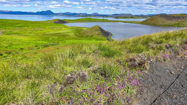 Rural Landscape Lake Myvatn Iceland — стокове фото