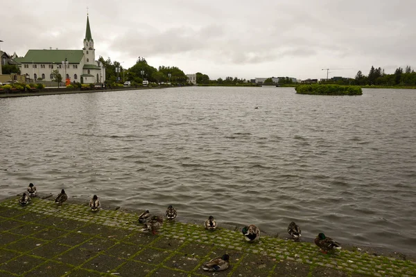 Pond Center Reykjavik Iceland — Stock fotografie