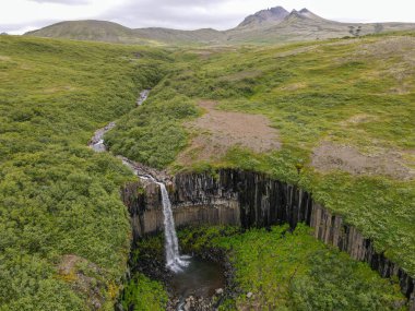 Drone view at Svartifoss waterfall on Skaftafell national park in Iceland