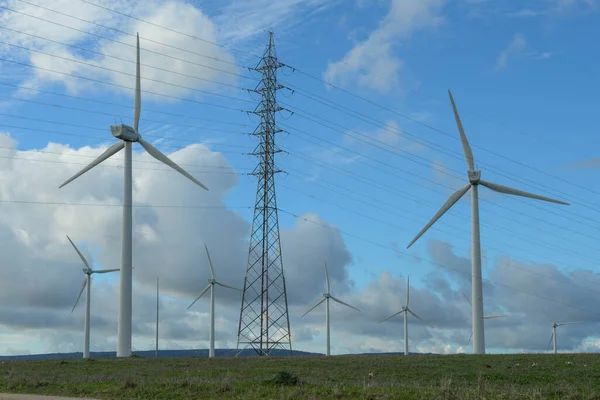 Wind Farm Barbate Andalucia Spain — Stockfoto