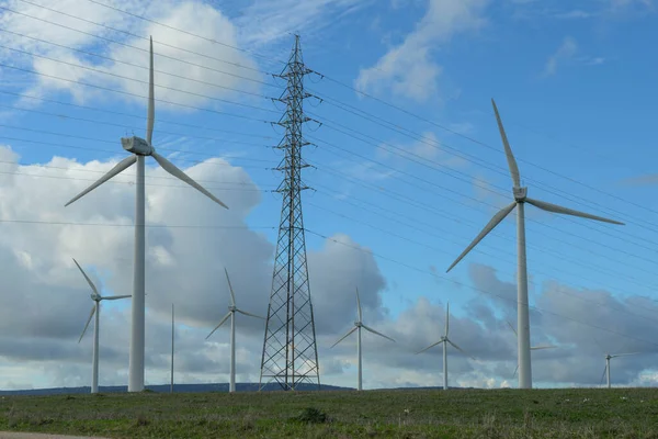 Wind Farm Barbate Andalucia Spain — Stock fotografie