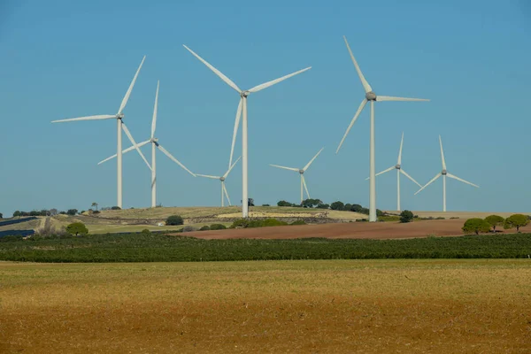 Wind Farm Barbate Andalucia Spain — Stock fotografie