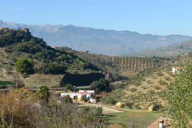 View at a rural landscape on Andalucia in Spain