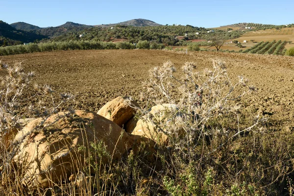 View Rural Landscape Andalucia Spain — Fotografia de Stock