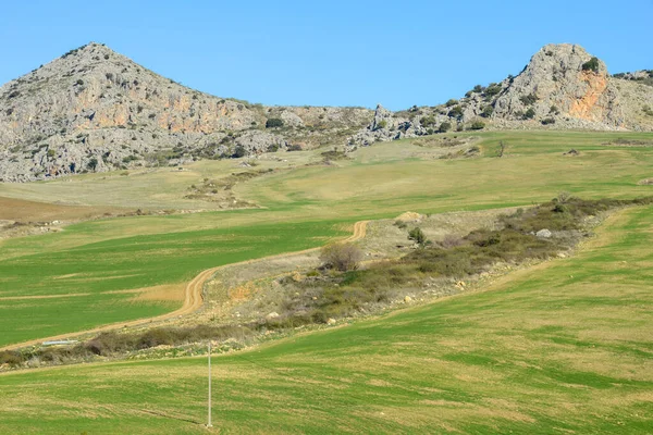 View Rural Landscape Andalucia Spain — Zdjęcie stockowe