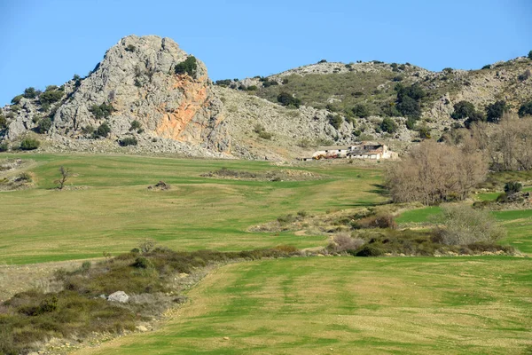 View Rural Landscape Andalucia Spain — Photo