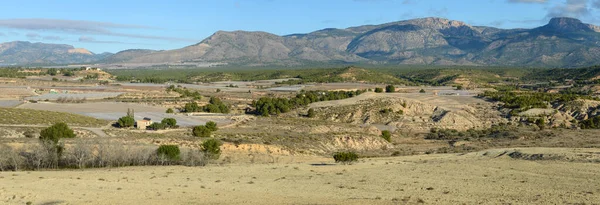 View Rural Landscape Andalucia Spain — 图库照片