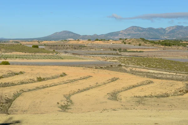 View Rural Landscape Andalucia Spain — 图库照片