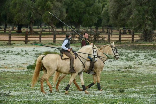 Tahivilla Espagne Décembre 2021 Cow Boys Sur Des Chevaux Avec — Photo