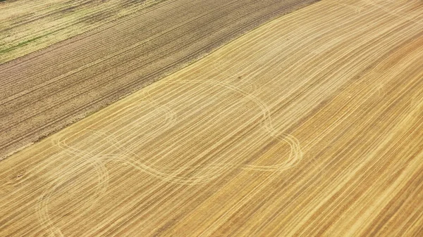 Luftaufnahme Eines Landwirtschaftlichen Feldes Der Schweiz — Stockfoto