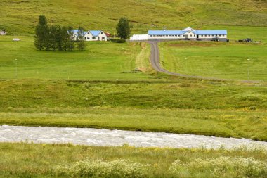 İzlanda 'da kırsal bir manzara
