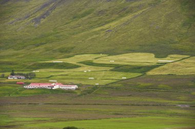 İzlanda 'da kırsal bir manzara